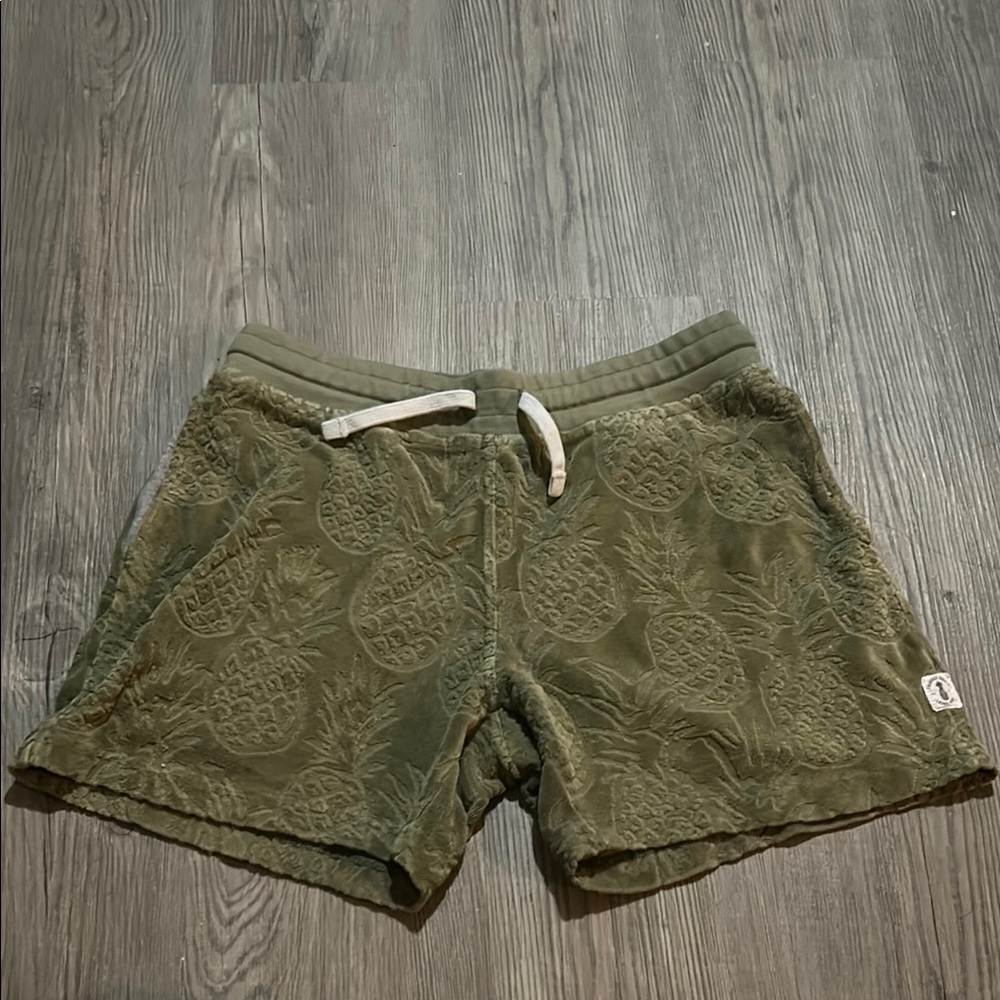Chubbies cozy shorts